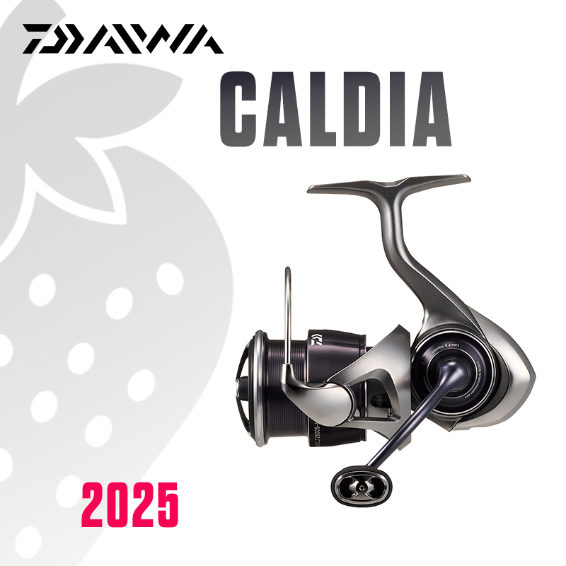DAIWA 2025 CALDIA LT Fishing R - огляд і ціна Daiwa Reel Bg